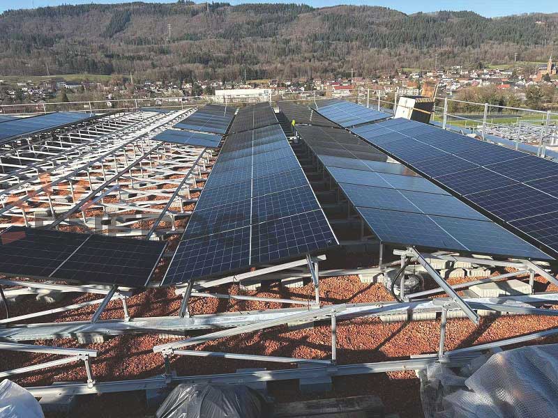 Hervorragendes Beispiel für die Montage von Gründächern in der Schweiz